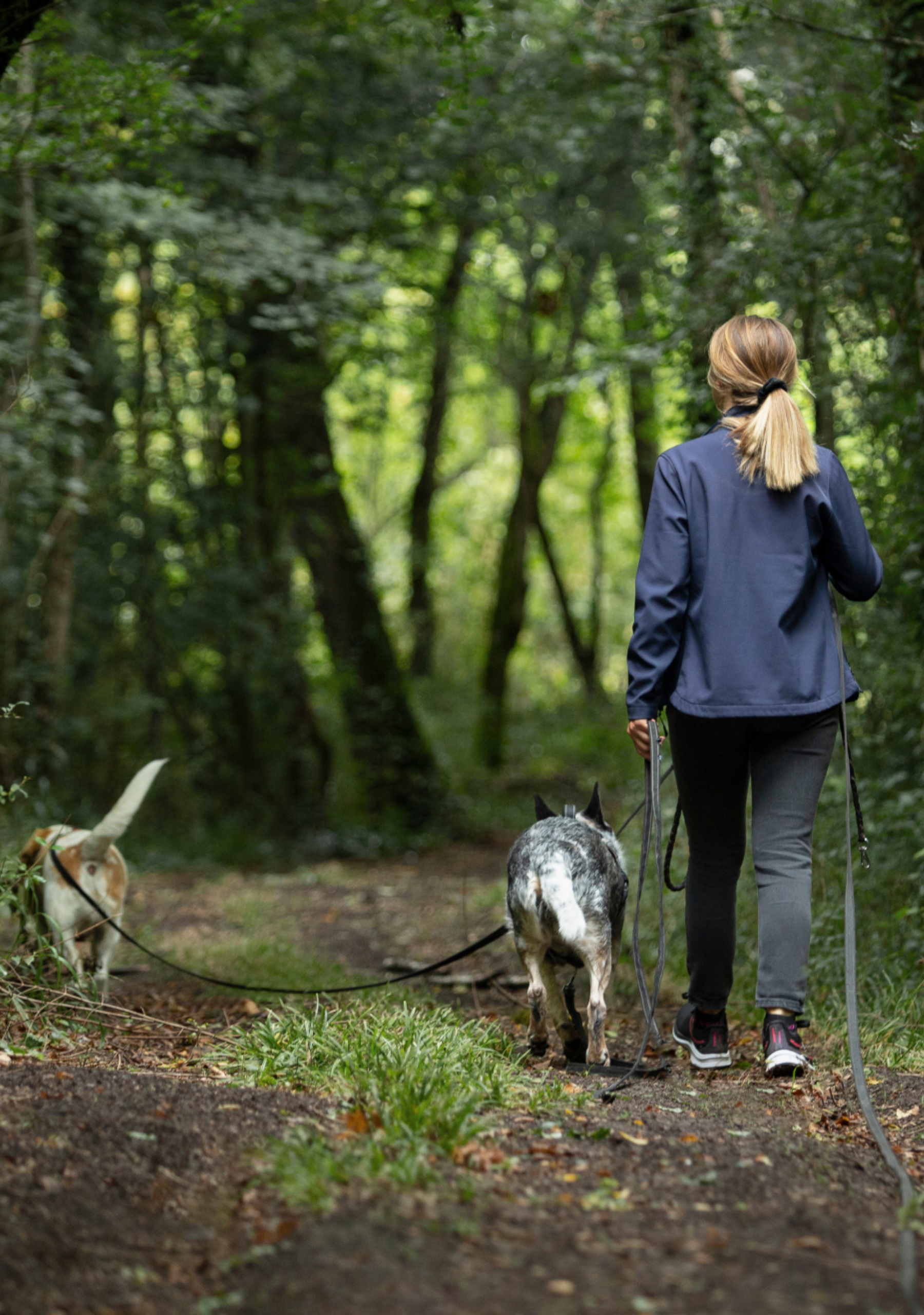 Balade éducative pour chien à Cognac par Nikita de Pet's Chou